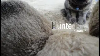 Hunted | episode 7