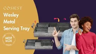 COSIEST | 2022 NEW Outdoor Storages | Wesley Metal Serving Tray