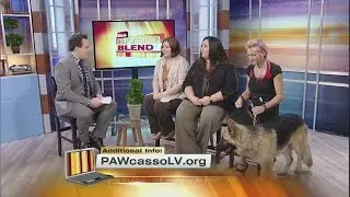 PAWcasso Fundraiser 10/5/15