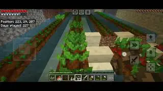A bit of mining ⛏️ and some tree farming 