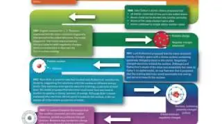 6.1 Inside the Atom: Chemical building blocks