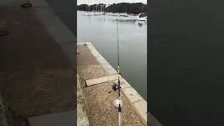 P&ecirc;che au congre