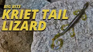 Big Bite Kriet Tail Lizard Tackle Breakdown