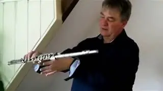 Dwarsfluit voor beginners, les 3 (Christiaan de Jong)