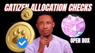 How to check Catizen Allocation points || Catizen airdrop.