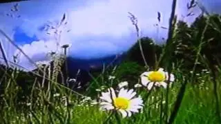 040411 ЧЕСТНЫЙ ДЕТЕКТИВ 3 СЕРИЯ НОВИКОВ