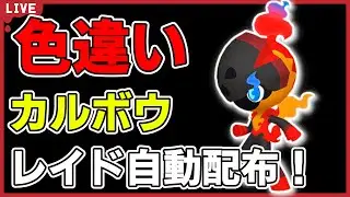 【ワンパン最速】色違いカルボウレイド自動配布！【ポケモンSV】