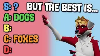 The BEST Furry Species