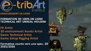 e tribArt Formation  Technical Art Unreal Houdini - Formation courte vers un job en Studio