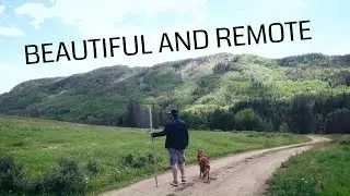 WE SAW A MOUNTAIN LION! Colorado Camping - Rio Grande National Forest, Stunner Campground