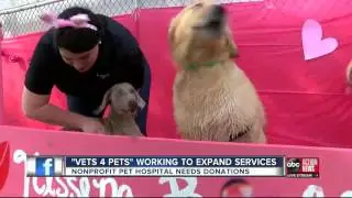 Non-profit helps pets whose owners struggle