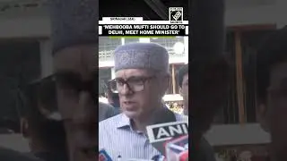 &lsquo;Mehbooba should go to Delhi, meet Home Minister&rsquo;, Why CM Omar Abdullah said this on protests?