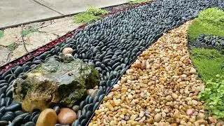 Rock Garden Central Texas Hill Country