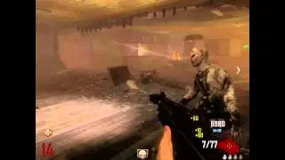 DSR 50 IRON SIGHTS | Black Ops 2 Zombies