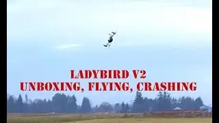 Walkera QR Ladybird V2 Ultra Micro Quadcopter Unboxing and crashing!