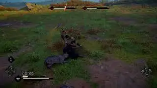 Assassin's Creed Valhalla - Legendary Animal Elder Lynx + Young Lynx Mistery Hamtunscire