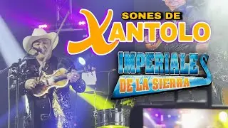 👹 100% PURO XANTOLO - Trio Imperiales De La Sierra (En Vivo)