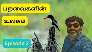 பறவைகளின் உலகம் | Bird Photography | Travel Tips in Tamil