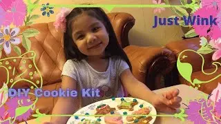 DIY Cookie Kit from JUST WINK