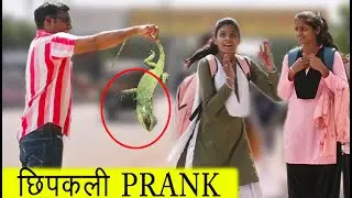 LIZARDS PRANK | छिपकली प्रैंक | LIZARD Prank on Cute Girls | Best Reaction Prank Of 2022😜