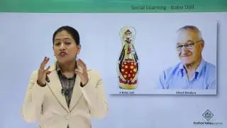 Social Learning