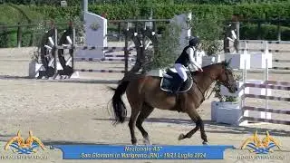 Cavallo in vendita  - Super cavalla per brevetti - equirodi.it