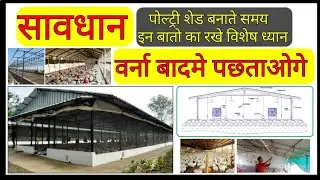 243, Broiler, desi 1000 sq.feet poultry farm shed construction, low cost poultry shed construction,