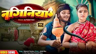 नगिनिया 3 | चिथारू चिथुराईन का न्यू गाना | Bhojpuri Comedy Song 2026 | Rajneesh panahwa #funnysong 