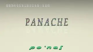 panache - pronunciation + Examples in sentences and phrases