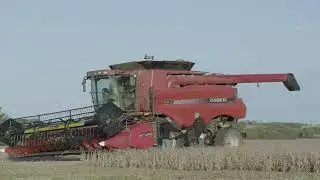 We Build Markets So You Can Farm with Certainty | SB&B Foods