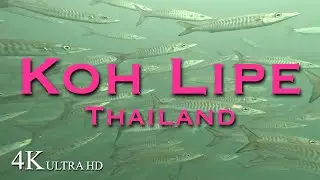 Koh Lipe, Thailand | Diver's Heaven | 2022 | 4K リペ島