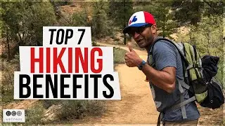 Top 7 Benefits of Hiking Everyday for Health and Well-Being