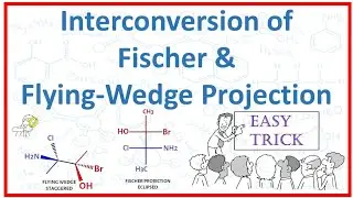 Interconversion of Fischer Projection and Flying-Wedge Projection