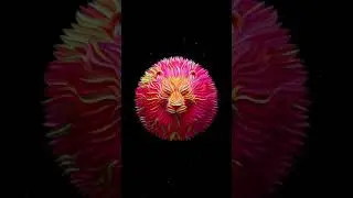 Lion logo design NFT