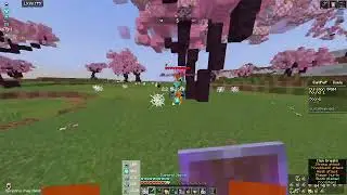 Playing EchoNetwork First time