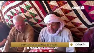 متابعات | انطلاق موسم الجلامة في عدد من المدن - أجدابيا