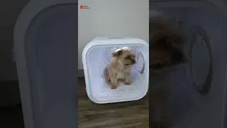 A Pet Drying Cabin!  #amazonfinds, #happyshopping