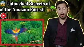 About untouched secrets of the Amazon forest full explanation in hindi -Amit yadav #🌳