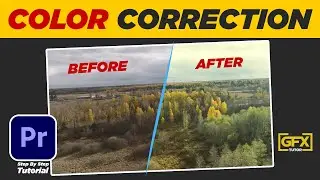 Simple Color Correction Technique in Premiere Pro CC