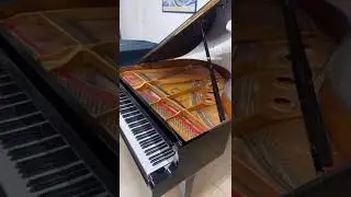 YAMAHA A1 PIANOFORTE A CODA     #yamaha #pianoforte #pianoforstudy