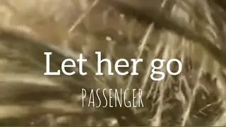 Let her go-PASSENGER (Arabic sub) مترجم