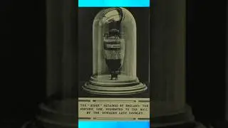 Story Behind Ashes!