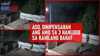 Aso, dinipensahan ang amo sa 3 nanloob sa kanilang bahay | GMA Integrated Newsfeed
