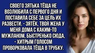*У тёщи был хитрый план как развести дочь с ненавистным зятем, знала бы она...