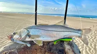 COMO saber DONDE PESCAR róbalos de PLAYA // pesca de róbalos con vinilos // como pescar róbalos