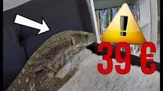 Mon varan m'a couté 39 €