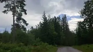 2025 Schweden Fahrt aus dem Wald zum Tubbared Badplatz