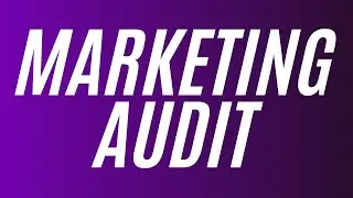 Omni Sales Series | Marketing Audit