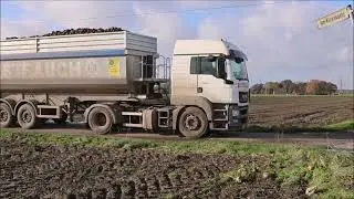 Ropa Maus 5 beim Zuckerrüben laden.