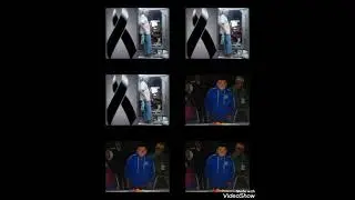 chaviabeafloes